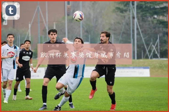 欧洲杯决赛场馆与城市介绍